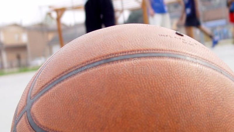 庭院观赏苗木价格之谜：揭秘影响因素与选购要点