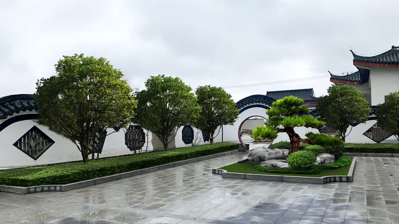 市政绿化大树全冠移栽，规格如何确定？**