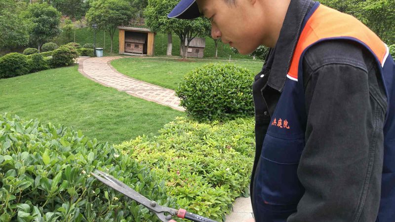 厂区绿化工程报价通常包括以下几个方面：