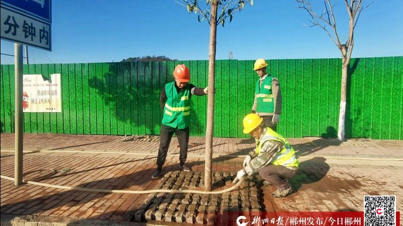 绿植租摆报价单：如何避免陷入价格陷阱？**