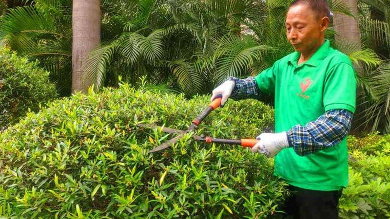 苗木种植深度自动测量设备：提升效率，保障质量