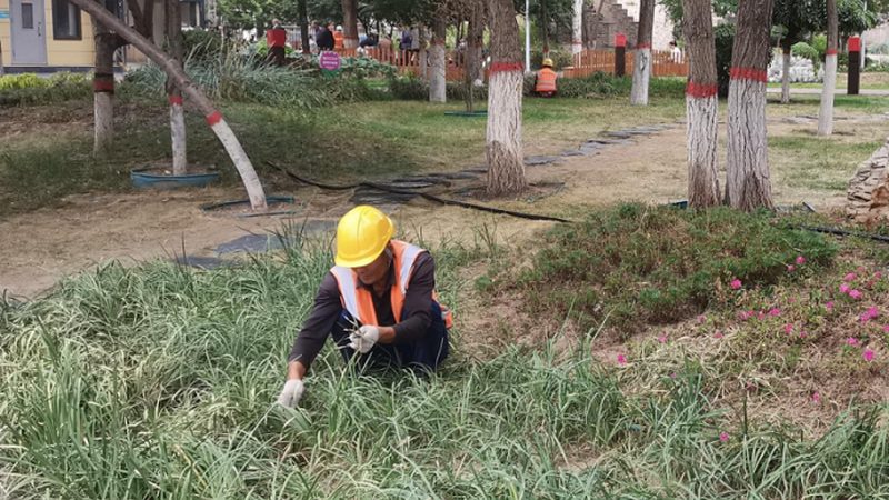 公司资质展示是投标书的重要组成部分，包括但不限于以下内容：
