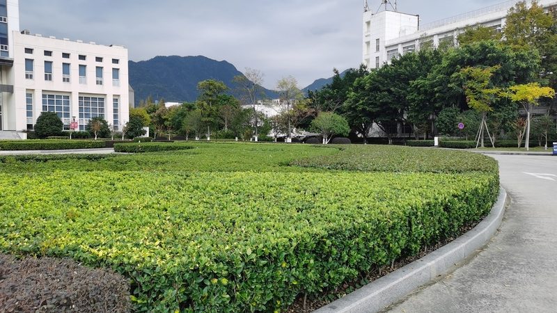屋顶变绿洲：家庭屋顶绿化的实用指南**